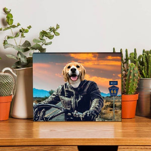 Motorcycle Rider Funny Cat Portraits Vogue Dog Portrait ktclubs.com