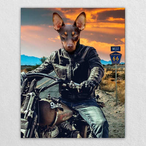 Motorcycle Rider Funny Cat Portraits Vogue Dog Portrait ktclubs.com
