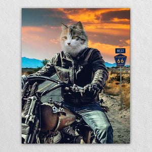 Motorcycle Rider Funny Cat Portraits Vogue Dog Portrait ktclubs.com