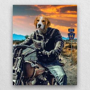 Motorcycle Rider Funny Cat Portraits Vogue Dog Portrait ktclubs.com