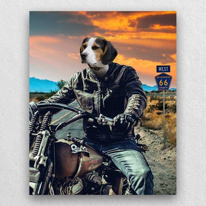 Motorcycle Rider Funny Cat Portraits Vogue Dog Portrait ktclubs.com