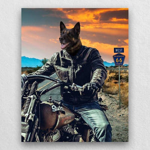 Motorcycle Rider Funny Cat Portraits Vogue Dog Portrait ktclubs.com