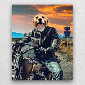 Motorcycle Rider Funny Cat Portraits Vogue Dog Portrait ktclubs.com