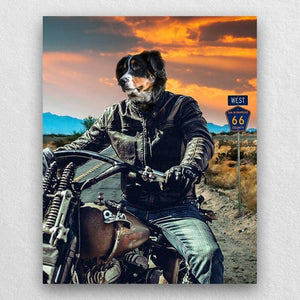 Motorcycle Rider Funny Cat Portraits Vogue Dog Portrait ktclubs.com