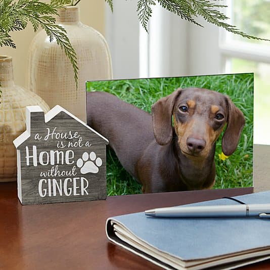 A Pet House is Not a Home House Frame ktclubs.com
