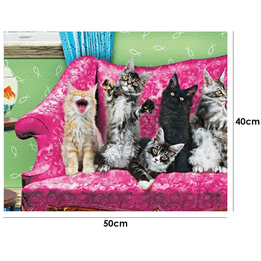 Cat-Paint By Numbers 50*40cm ktclubs.com