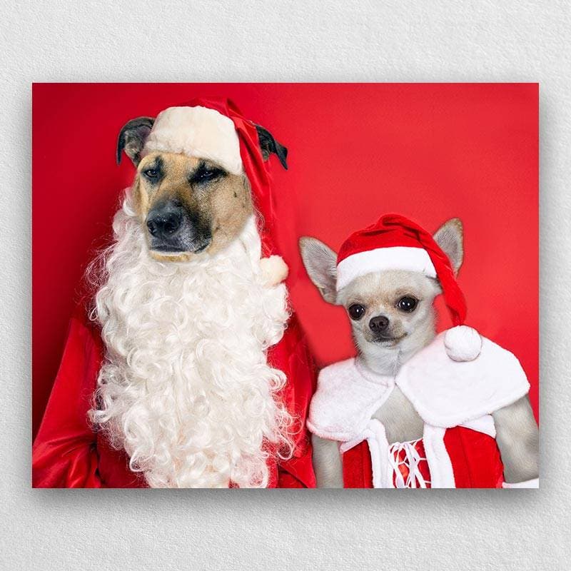 Christmas Pet Portraits In Costume ktclubs.com