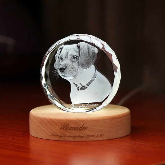 Custom Photo 3D Laser Crystal: Sphere With Light Base | Personalized 3D Photo Laser Crystal | Unique Gift for Birthday, Wedding, Anniversary ktclubs.com