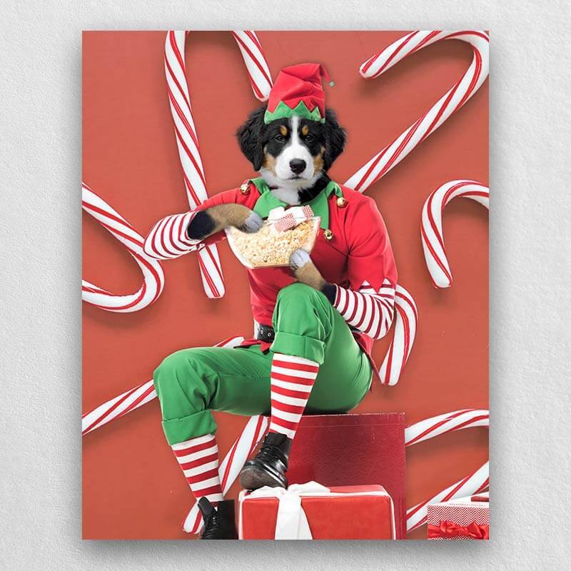 Holiday Pet Portraits Funny Pet Canvas ktclubs.com