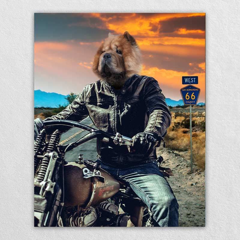 Motorcycle Rider Funny Cat Portraits Vogue Dog Portrait ktclubs.com
