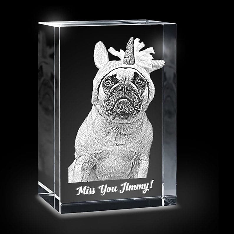 Personalized Pet 3D Crystal Photo Custom Picture | Pet 3D Pictures in Glass | Cat Dog 3D Photo Engraved Pet Memorial Crystal Night Light LED ktclubs.com