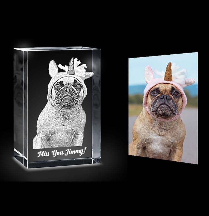 Personalized Pet 3D Crystal Photo Custom Picture | Pet 3D Pictures in Glass | Cat Dog 3D Photo Engraved Pet Memorial Crystal Night Light LED ktclubs.com