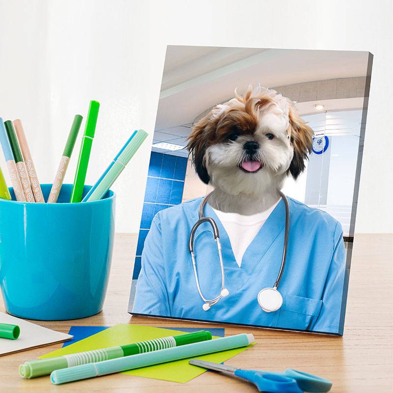 Pet Portraits Dressed Up As A Professional Surgeon ktclubs.com