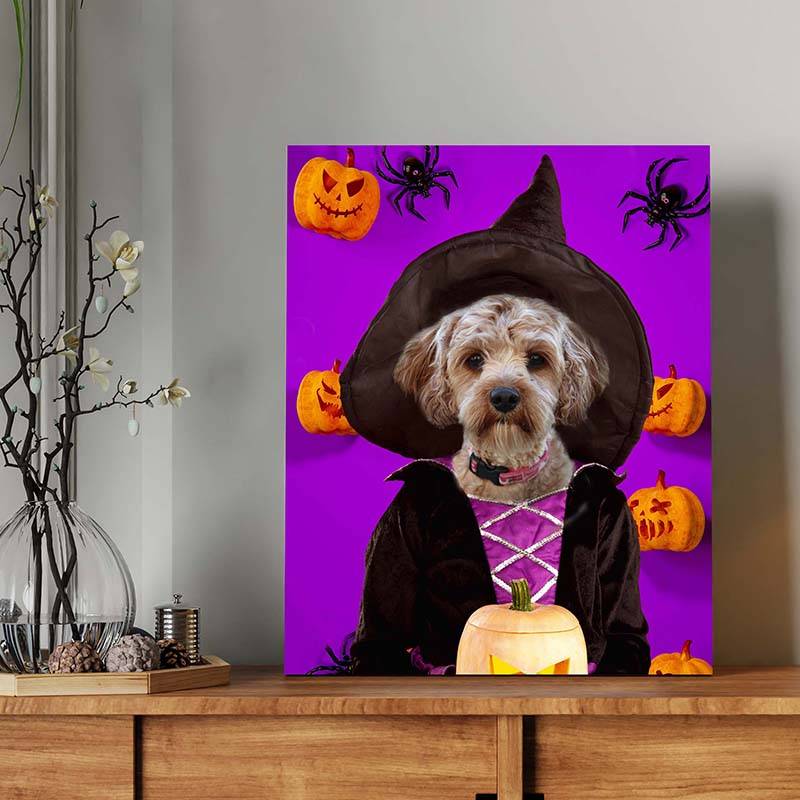 Witch Pets In Costume Portraits ktclubs.com