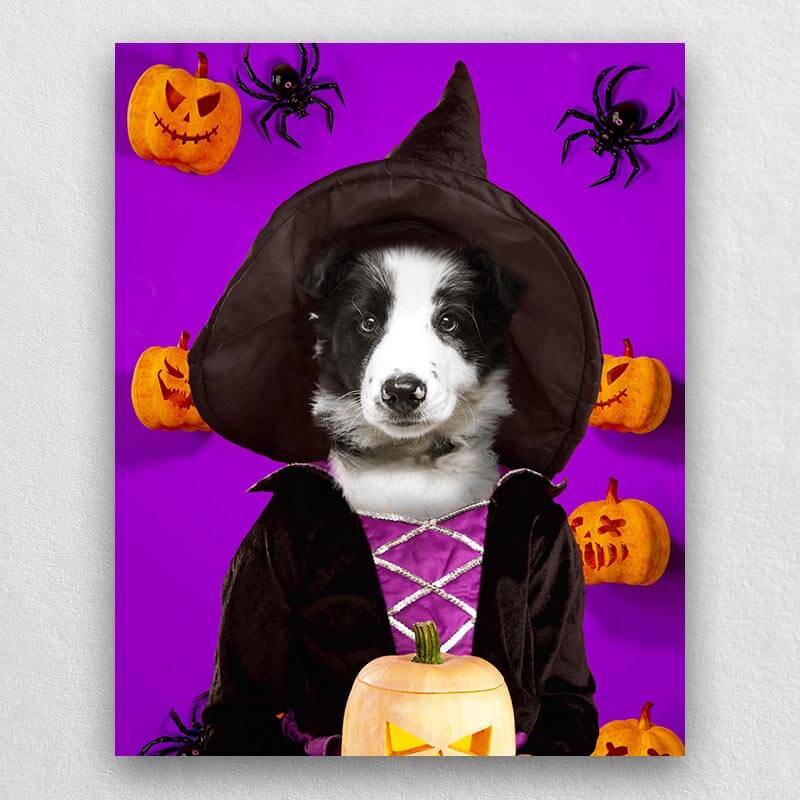 Witch Pets In Costume Portraits ktclubs.com